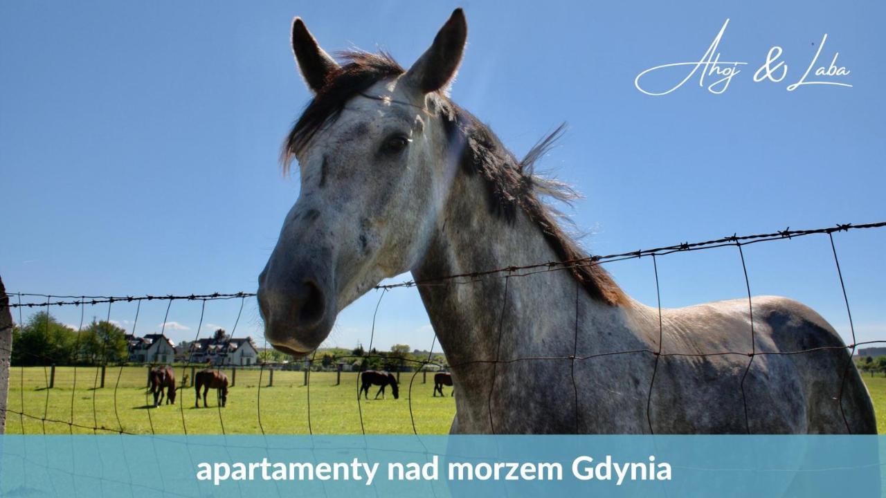 דירות גדינייה Laba - Basen, Blisko Plazy, Cisza, Taras, Parking, Bezplatne Wifi, Wyjatkowy! מראה חיצוני תמונה