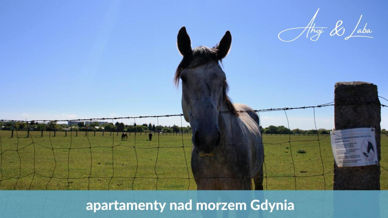 דירות גדינייה Laba - Basen, Blisko Plazy, Cisza, Taras, Parking, Bezplatne Wifi, Wyjatkowy! מראה חיצוני תמונה