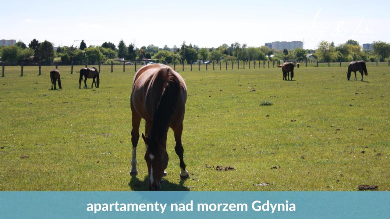 דירות גדינייה Laba - Basen, Blisko Plazy, Cisza, Taras, Parking, Bezplatne Wifi, Wyjatkowy! מראה חיצוני תמונה